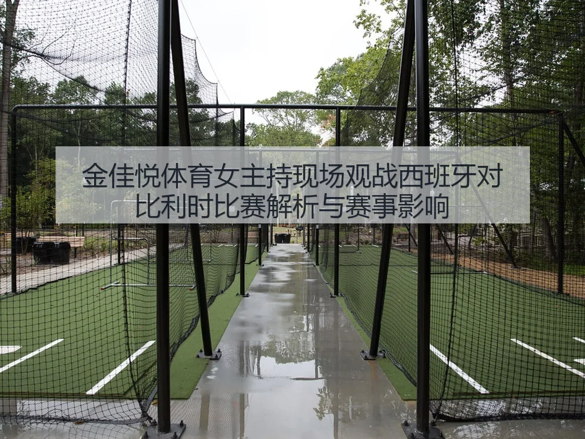 金佳悦体育女主持现场观战西班牙对比利时比赛解析与赛事影响
